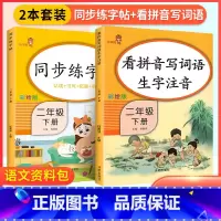 [二年级下]看拼音+字帖(2本) 小学一年级 [正版]看拼音写词语一年级下册 二六年级四五三年级上下册拼音练习册人教版语