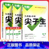 9年级[数学+物理+化学]3本套装 初中通用 [正版]2024尖子生七八九年级数学物理化学专项训练初中初 二一三每日一题