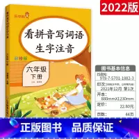 [六下]看拼音写词语 小学一年级 [正版]看拼音写词语一年级下册 二六年级四五三年级上下册拼音练习册人教版语文默写看图写