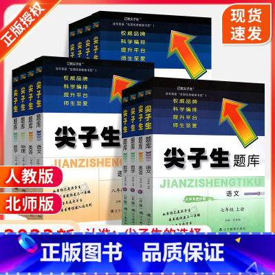 [物理]人教版 九年级下 [正版]2023尖子生题库北师大版数学语文英语物理化学七八九年级上册下册人教版同步专项