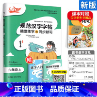 [6上]语文 小学通用 [正版]2023新版笔下生辉规范汉字字帖同步默写手册一二年级上册三年级四年级五年级六年级下册人教