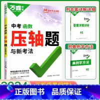 ⭐中考数学[压轴题—函数] 初中通用 [正版]2024数学压轴题全解析物理化学全国版专项训练初中数学函数几何模型辅助线初