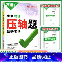 中考物理[压轴题] 初中通用 [正版]2024数学压轴题全解析物理化学全国版专项训练初中数学函数几何模型辅助线初二初三八