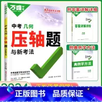 中考数学[压轴题--几何] 初中通用 [正版]2024数学压轴题全解析物理化学全国版专项训练初中数学函数几何模型辅助线初