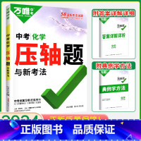 中考化学压轴题 初中通用 [正版]2024数学压轴题全解析物理化学全国版专项训练初中数学函数几何模型辅助线初二初三八九年