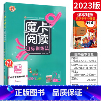 二下 语文阅读 小学通用 [正版]2023新版 魔卡阅读三四年级五六年级一二年级上册下册 语文英语阅读理解训练题 典中点