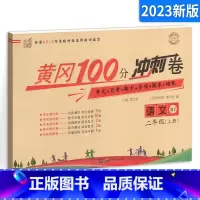 二上 语文试卷 小学通用 [正版]2023新版 魔卡阅读三四年级五六年级一二年级上册下册 语文英语阅读理解训练题 典中点