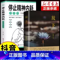 [2册]精神内耗+放下 [正版]抖音同款与自己和解+停止精神内耗全套2册入门基础心理学书籍疏导缓解焦虑学习方法书生活减压