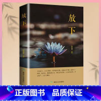 放下 [正版]抖音同款与自己和解+停止精神内耗全套2册入门基础心理学书籍疏导缓解焦虑学习方法书生活减压指南做自己的医生高