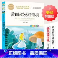 [六下必读]爱丽丝漫游奇境 [正版]鲁滨逊漂流记 彩图原著完整版 三四五六七年级上下册必读课外书藉老师名师导读儿童文学经