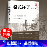 [人民文学]骆驼祥子 [正版]鲁滨逊漂流记 彩图原著完整版 三四五六七年级上下册必读课外书藉老师名师导读儿童文学经典名著