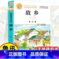 [小学生必读]故乡 [正版]鲁滨逊漂流记 彩图原著完整版 三四五六七年级上下册必读课外书藉老师名师导读儿童文学经典名著汤
