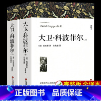 [上下册]大卫科波菲尔 [正版]高中课外阅读书籍必读书目 大卫科波菲尔 复活列夫托尔斯泰 老人与海 百年孤独完整版原著