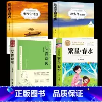 [4册]现代诗集套装 [正版]繁星春水 冰心七年级必读儿童文学全集四五六年级下册必读小桔橘灯小学生课外阅读书籍现代诗歌散
