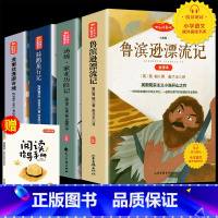 [全4册]鲁滨逊+骑鹅+爱丽丝+汤姆索亚 [正版]爱的教育六年级必读上册原著完整版意大利亚米契斯著三四五六年级老师必读的