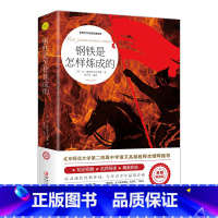 钢铁是怎样炼成的 [正版]爱的教育六年级必读上册原著完整版意大利亚米契斯著三四五六年级老师必读的课外书小学生阅读书籍文学