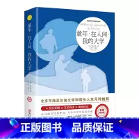 童年·在人间·我的大学 [正版]爱的教育六年级必读上册原著完整版意大利亚米契斯著三四五六年级老师必读的课外书小学生阅读书