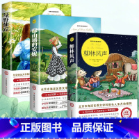 [全3册]柳林风声+绿野仙踪+绿山墙的安妮 [正版]柳林风声 书 小学生课外阅读书籍三四五六年级必读经典书目青少年儿童文