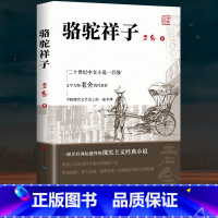 [人民文学]骆驼祥子 [正版]骆驼祥子原著老舍 人民文学出版社七年级下必读课外书 初一初中生名著阅读书籍老师和海底两万里