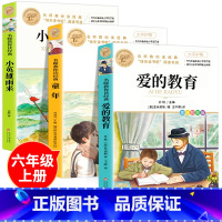 [全套3册]六年级上册必读名著 [正版]鲁滨逊漂流记 彩图原著完整版 三四五六七年级上下册必读课外书藉老师名师导读儿童文