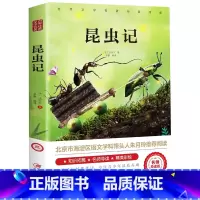 昆虫记 [正版]爱的教育六年级必读上册原著完整版意大利亚米契斯著三四五六年级老师必读的课外书小学生阅读书籍文学经典青少年
