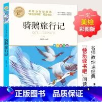 [六下必读]骑鹅旅行记 [正版]鲁滨逊漂流记 彩图原著完整版 三四五六七年级上下册必读课外书藉老师名师导读儿童文学经典名