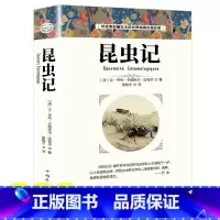 [世界经典名著]昆虫记 [正版]全套4册战争与和平原著安娜卡列尼娜书复活列夫托尔斯泰的三部曲全集适合初中生高中生必读课外