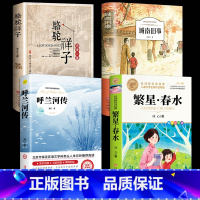 [4册]经典文学名著 [正版]繁星春水 冰心七年级必读儿童文学全集四五六年级下册必读小桔橘灯小学生课外阅读书籍现代诗歌散
