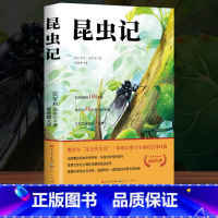 昆虫记 [正版]赠考点艾青诗选和水浒传 原著完整版九年级必读名著初中生全套2册 9年级上册初三学生课外阅读书籍人教版配套