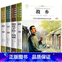 全套4册 鲁迅经典文集 [正版]故乡 鲁迅原著 彩图的故乡六年级必读课外书籍阅读6小学生上册散文学经典书作品全集朝花夕拾