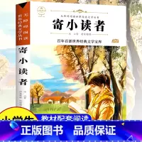 寄小读者 [正版]故乡 鲁迅原著 彩图的故乡六年级必读课外书籍阅读6小学生上册散文学经典书作品全集朝花夕拾呐喊彷徨野草初
