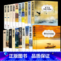 高中必读名著20册 [正版]乡土中国红楼梦 高中课外阅读书籍必读语文名著书目大卫科波菲尔复活老人与海完整版 战争与和平飘