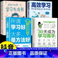 [全套4册]高效学习宝典 [正版]抖音同款30天成为学习高手书籍 给孩子的第一本学习方法书自驱型成长学霸高效笔记学习记忆