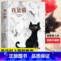 我是猫 [正版]我是猫 夏目漱石 日本中文外国文学书籍日本文学小说经典世界名著现代文学书籍高中成人课外阅读外国文学日本文