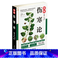 [正版]全彩图解伤寒论 解伤寒杂病论张仲景中医养生四大名著经典书籍保健养生中医入门级书 金匮要略温病条辨千金方本草 97