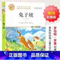 [全彩插图]兔子坡 [正版]暑假必读书目绿山墙的安妮全套原著小学语文课外阅读经典丛书低年级二三四五年级睡前故事书注音版老