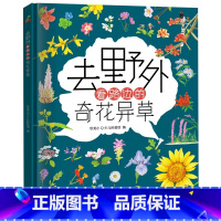 去野外看路边的奇花异草 [正版]去野外系列全套2册 精装自然科普绘本去野外看路边的奇花异草+吃田间的美味果蔬 6-8-1