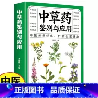[正版]中草药鉴别与应用 中草药彩图大全书全图鉴 中医基础理论书籍大全自学教程本草纲目千金方黄帝内经偏方秘方土单方中医自