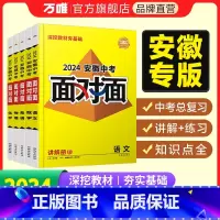 [道法+历史]2本套装 安徽省 [正版]2024面对面安徽语文数学英语物化政治历史初三总复习全套七八九年级初三中考真题辅