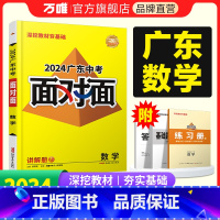 数学 九年级/初中三年级 [正版]2024广东数学面对面初三总复习全套资料七八九年级初三数学模拟题训练历年中真题卷辅导书