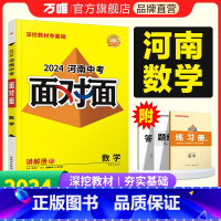 数学 河南省 [正版]2024河南数学面对面初三总复习全套资料七八九年级初三数学模拟题训练历年中真题卷辅导书资料万维教育