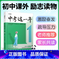 [正版]这一年中学生青春励志书籍书高效学习方法青少年成长故事好书初中课外读物小说语文作文素材万唯万维