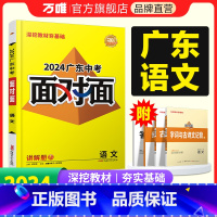 语文 广东省 [正版]2024广东语文面对面初三总复习全套资料七八九年级初三语文模拟题训练历年中真题卷辅导书资料万维教育