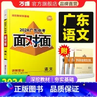 语文 广东省 [正版]2024广东语文面对面初三总复习全套资料七八九年级初三语文模拟题训练历年中真题卷辅导书资料万维教育