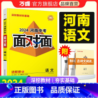 语文 河南省 [正版]2024河南语文面对面初三总复习全套资料七八九年级初三语文模拟题训练历年中真题卷辅导书资料万维教育