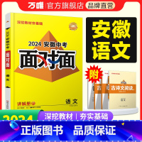 语文 安徽省 [正版]2024安徽语文面对面初三总复习全套资料七八九年级初三语文模拟题训练历年中真题卷辅导书资料万维教育