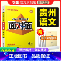 语州省 [正版]2024贵州语文面对面中考一二三轮总复习资料全套七八九年级初三语文模拟题训练历年中考真题卷辅导书练