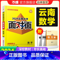 数学 云南省 [正版]2024云南数学面对面初三总复习全套资料七八九年级初三数学模拟题训练历年中真题卷辅导书资料万维教育