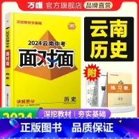 历史 云南省 [正版]2024云南历史面对面初三总复习全套资料七八九年级初三历史模拟题训练历年中真题卷辅导书资料万维教育