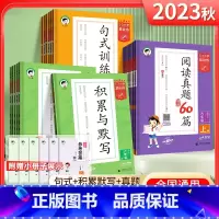 语文·积累与默写(下册) 小学一年级 [正版]2024版53小学基础练语文积累与默写一二年级三年级四年级五年级六年级上下